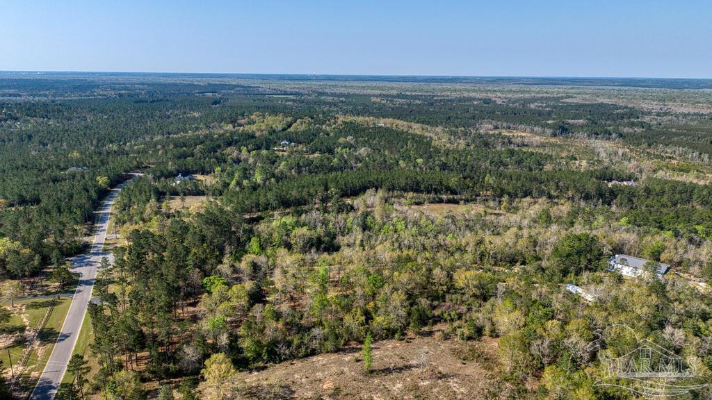 Lot 42 Buffalo Ridge Road Milton, FL 32570 - Photo 6 of 24