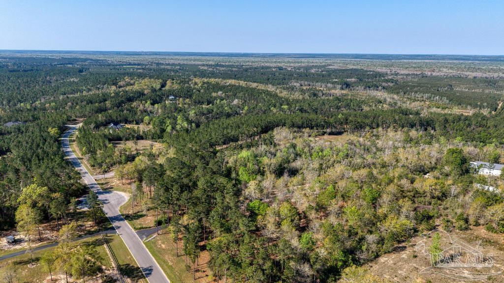 Lot 42 Buffalo Ridge Road Milton, FL 32570 - Photo 7 of 24
