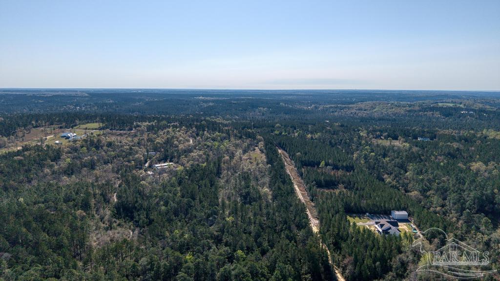 Lot 42 Buffalo Ridge Road Milton, FL 32570 - Photo 8 of 24