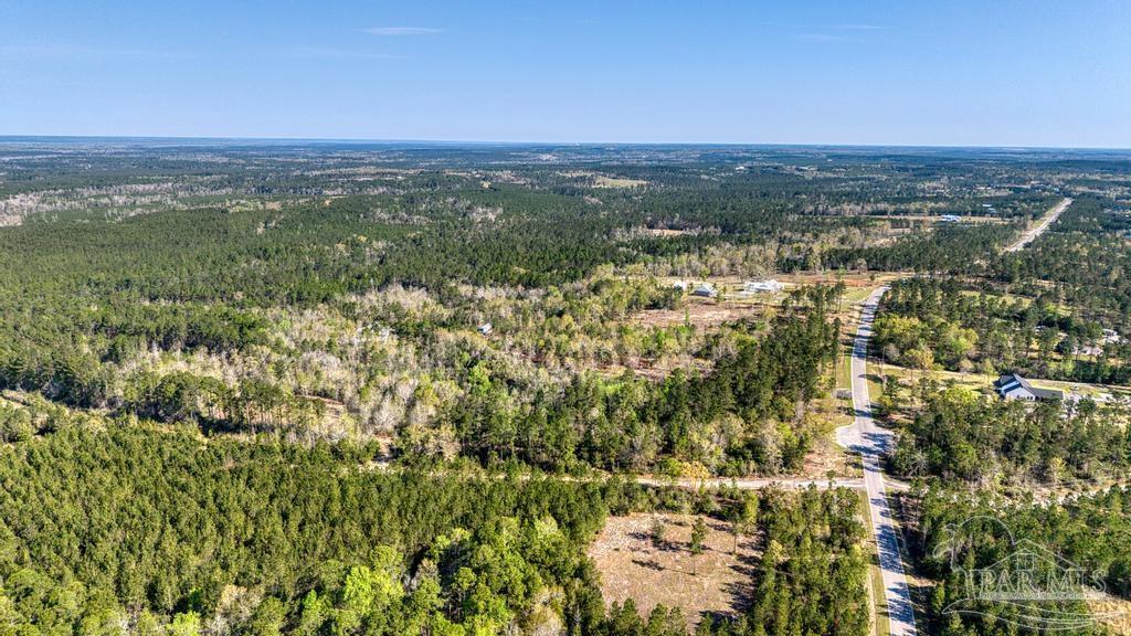 Lot 42 Buffalo Ridge Road Milton, FL 32570 - Photo 9 of 24