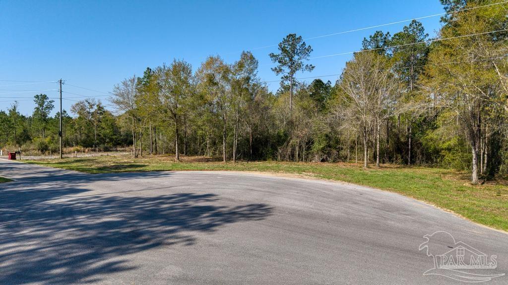 Lot 42 Buffalo Ridge Road Milton, FL 32570 - Photo 10 of 24