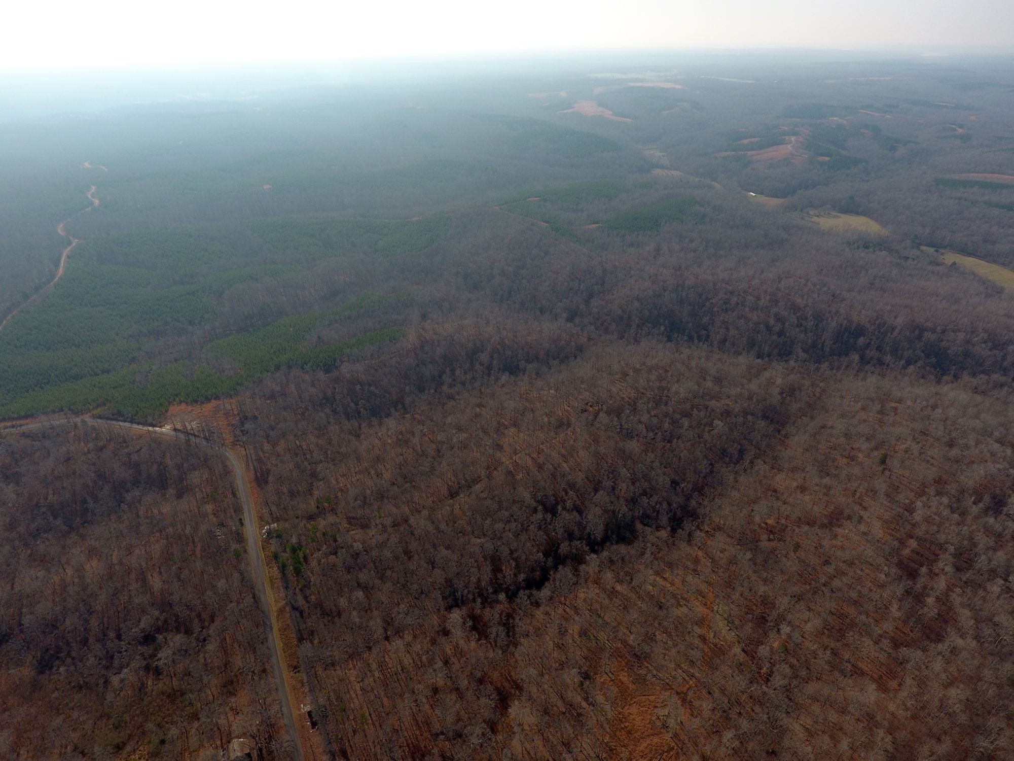 0 Dunaway Ridge Road Dover, TN 37058 - Photo 3 of 27 Gallery Image 3