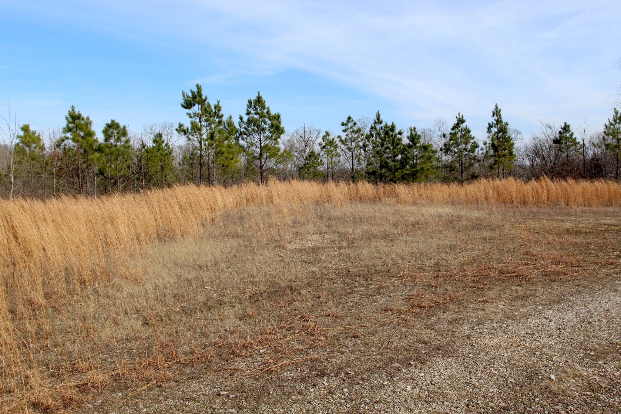 0 Dunaway Ridge Road Dover, TN 37058 - Photo 8 of 27 Gallery Image 8