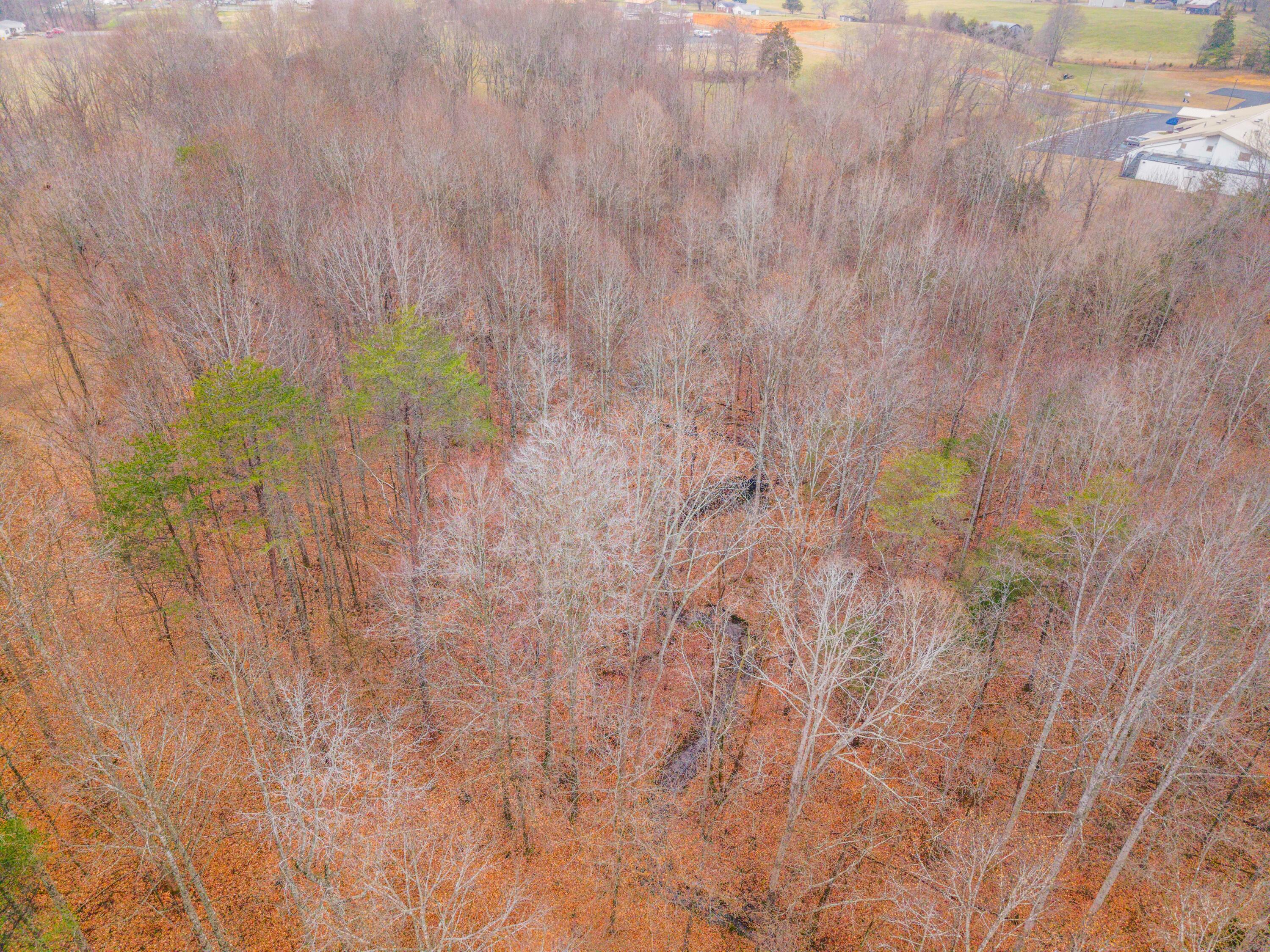 77 Barnett Road Russell Springs, KY 42642 - Photo 35 of 36 77 Barnett Photo-21