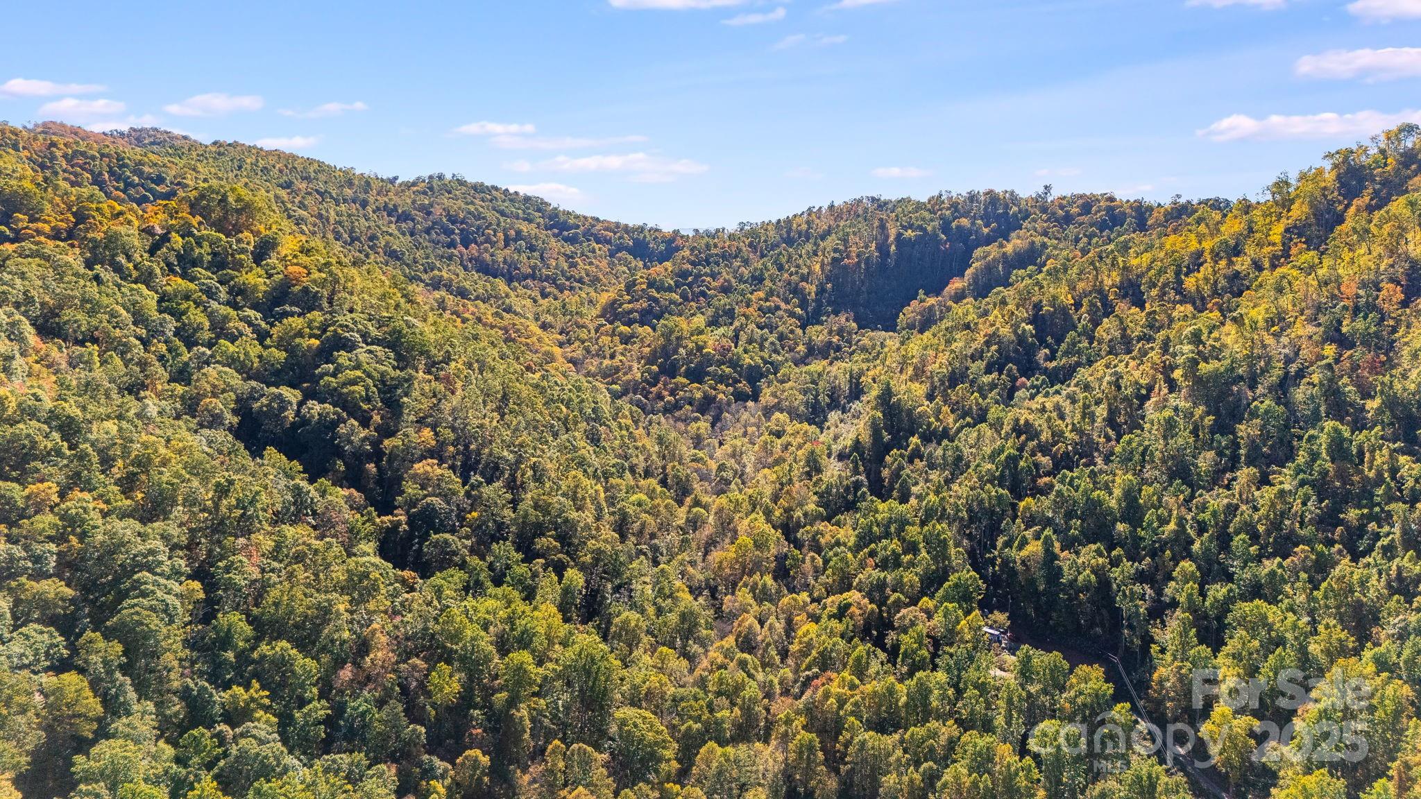 0 Hamburg Road, Unit 49 Mars Hill, NC 28754 - Photo 11 of 16 a view of a city