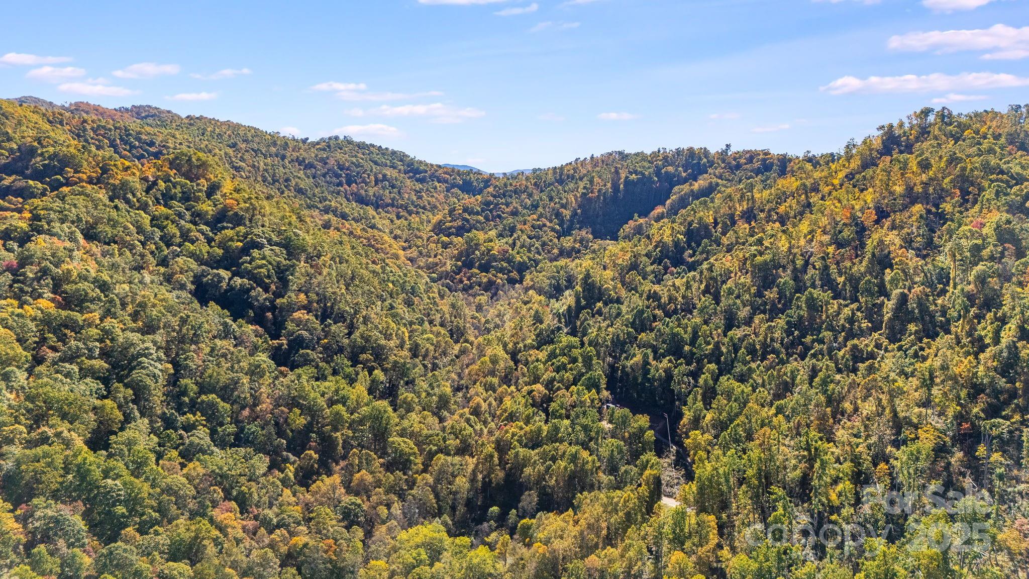 0 Hamburg Road, Unit 49 Mars Hill, NC 28754 - Photo 12 of 16 a view of a mountain
