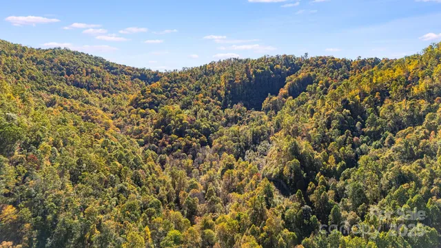 a view of a large building with a mountain in the background