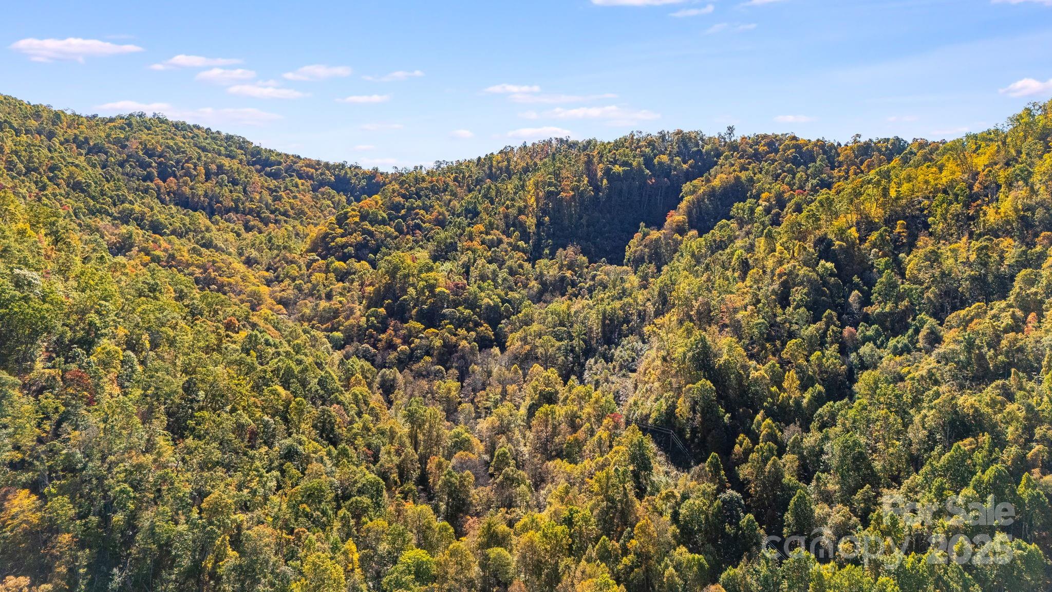 0 Hamburg Road, Unit 49 Mars Hill, NC 28754 - Photo 13 of 16 a view of a large building with a mountain in the background