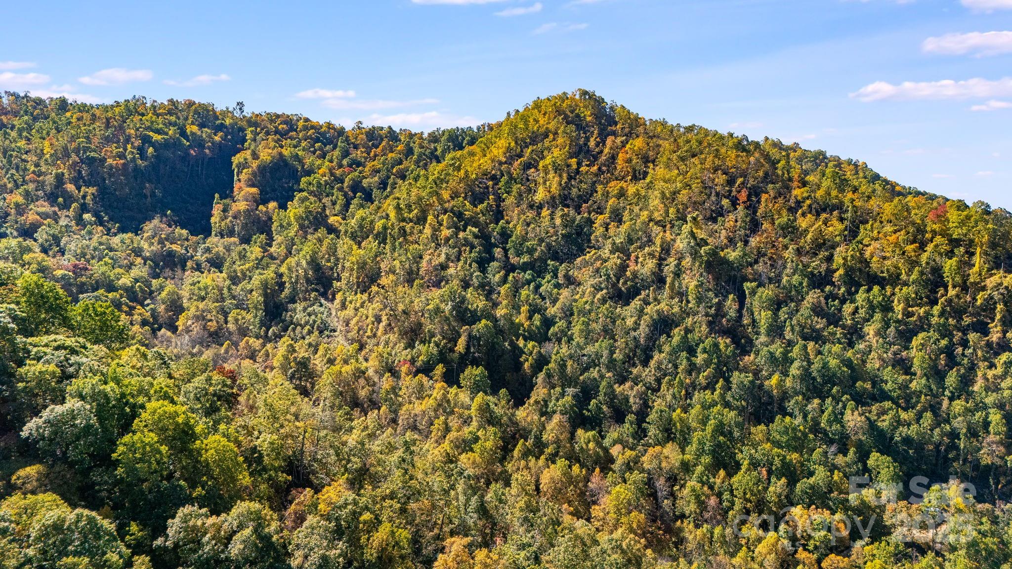 0 Hamburg Road, Unit 49 Mars Hill, NC 28754 - Photo 16 of 16 a view of a large building