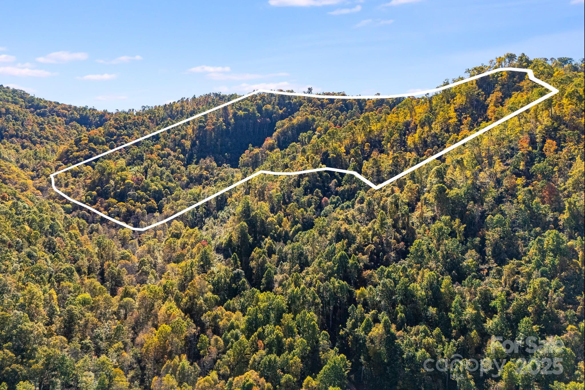 0 Hamburg Road, Unit 49 Mars Hill, NC 28754 - Photo 2 of 16 a view of a building