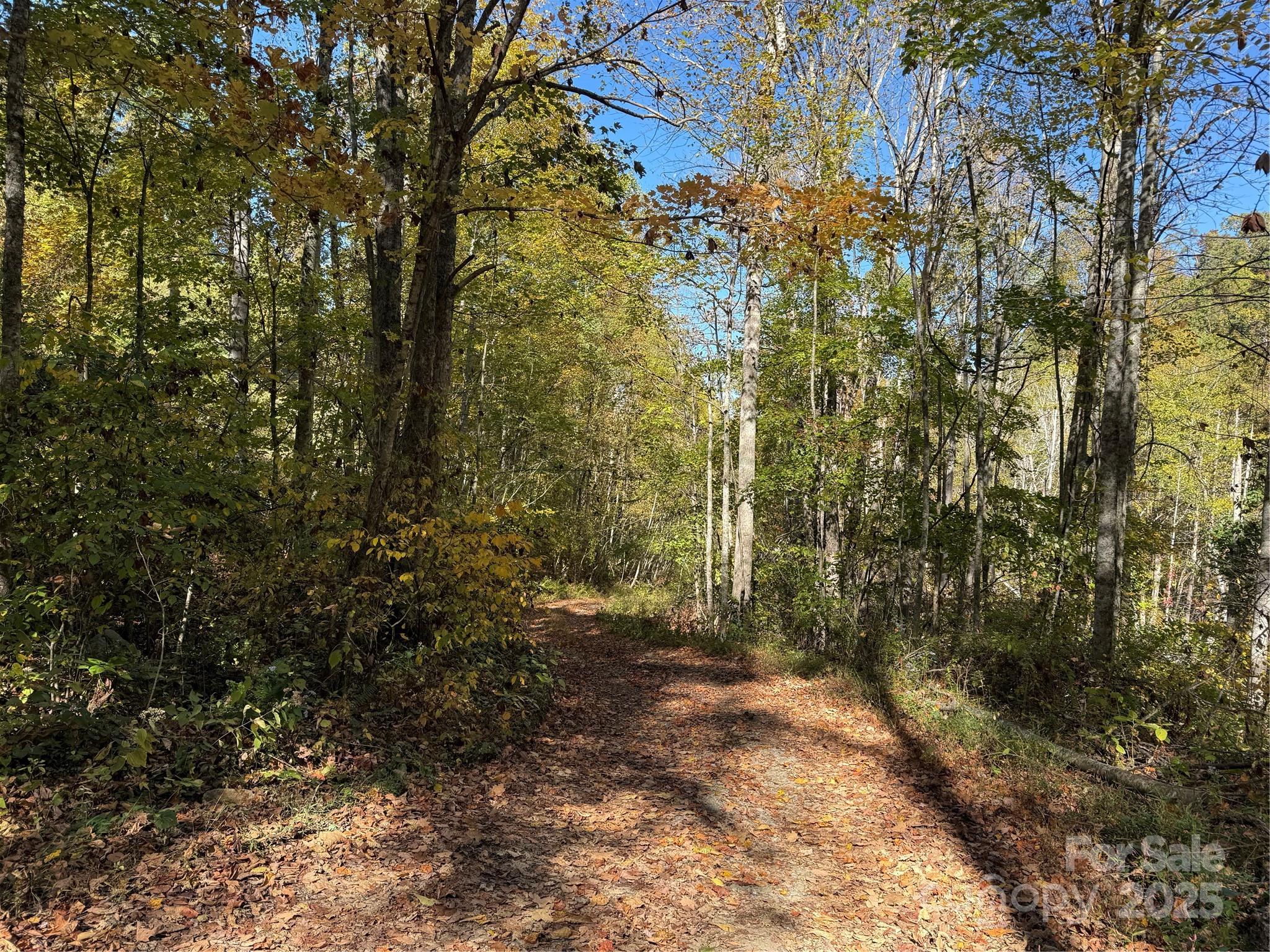 0 Hamburg Road, Unit 49 Mars Hill, NC 28754 - Photo 5 of 16 a view of backyard with green space