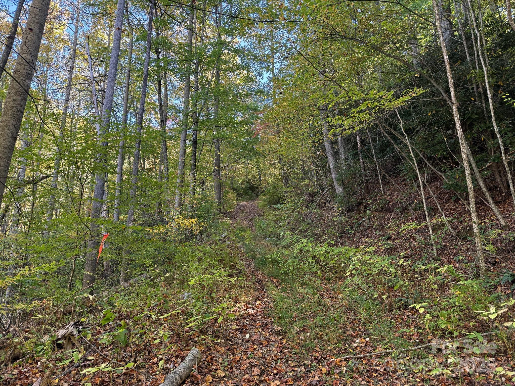 0 Hamburg Road, Unit 49 Mars Hill, NC 28754 - Photo 7 of 16