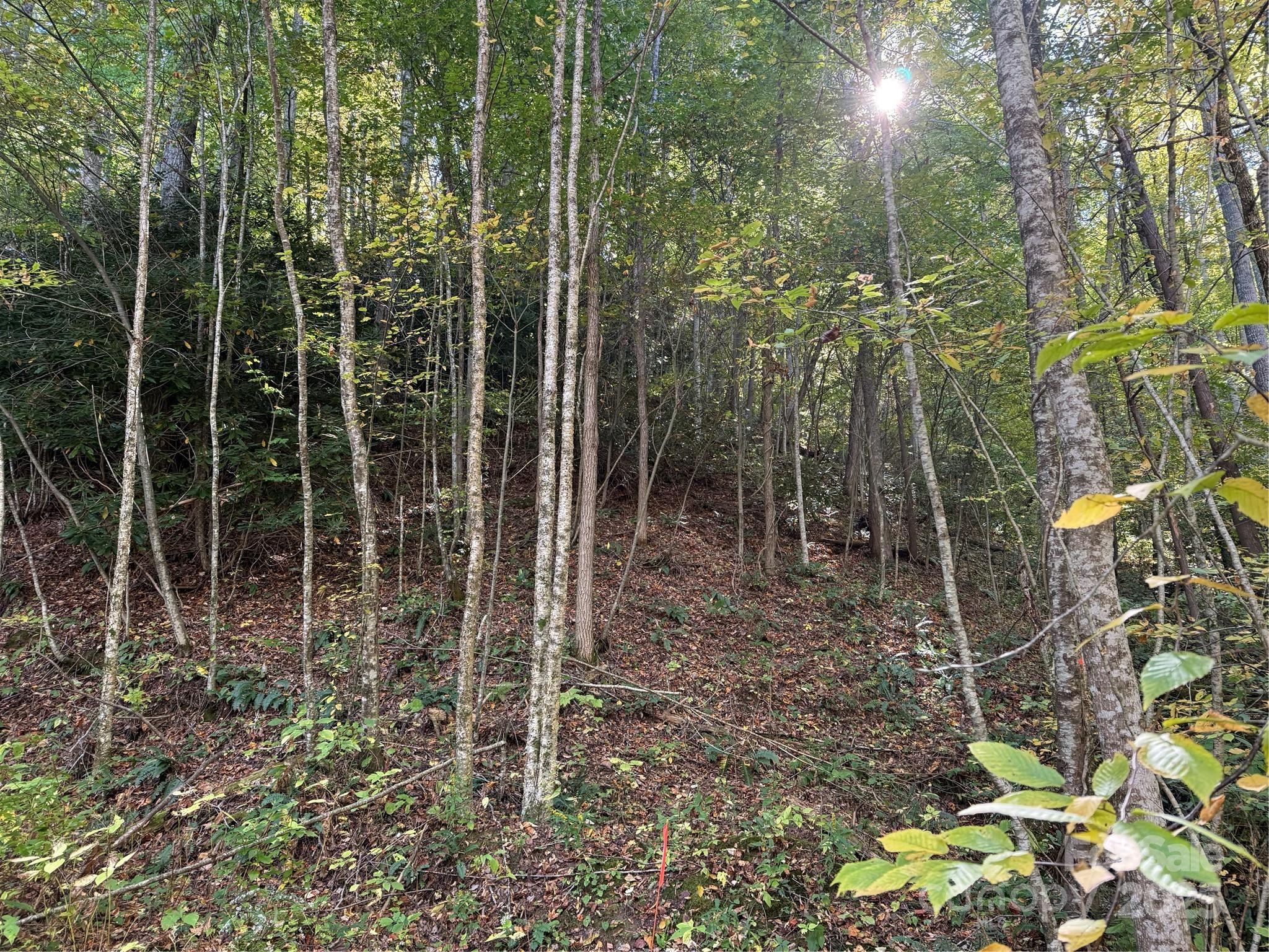 0 Hamburg Road, Unit 49 Mars Hill, NC 28754 - Photo 10 of 16