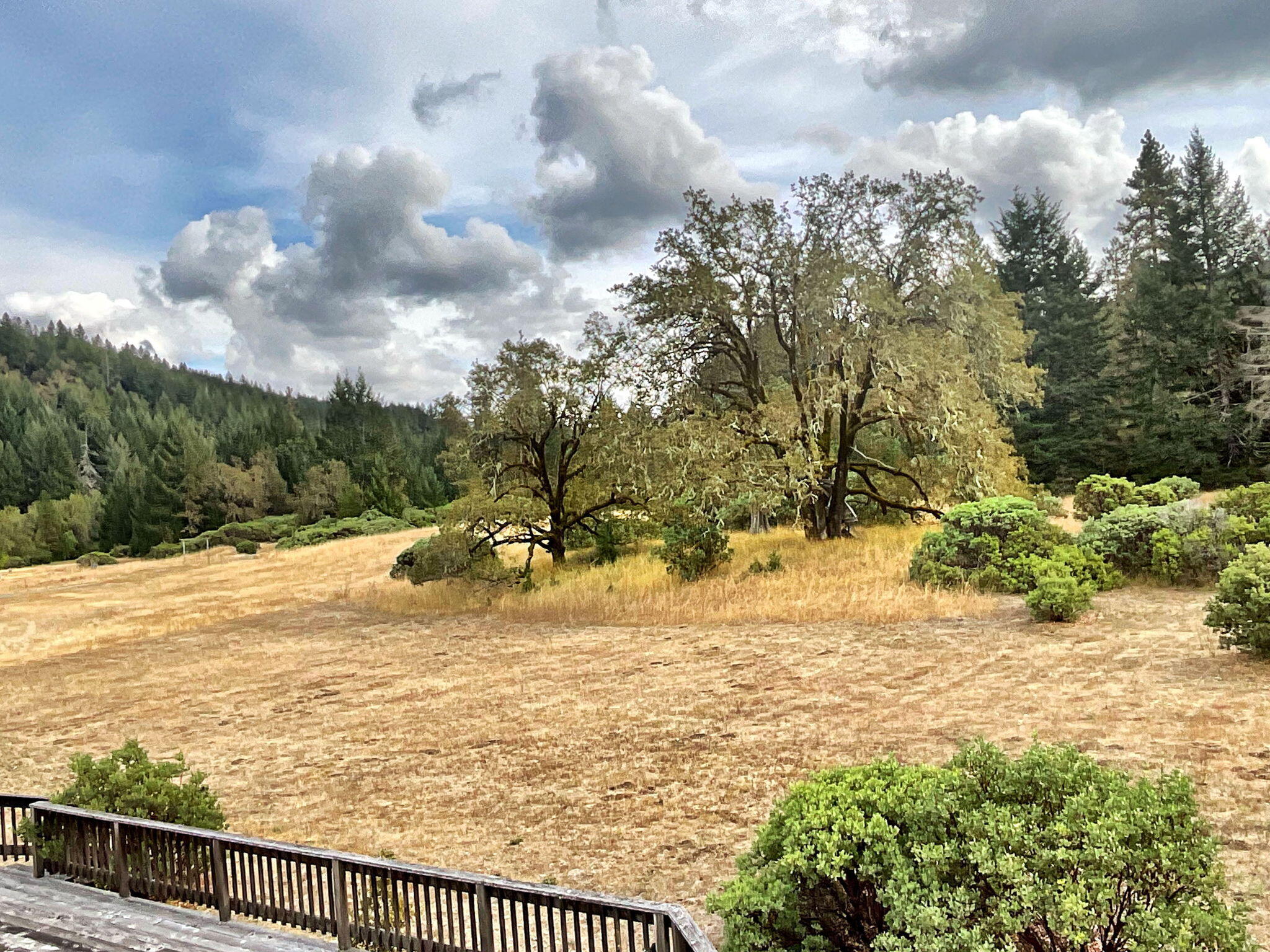 444 Newsome Road Bridgeville, CA 95526 - Photo 29 of 48
