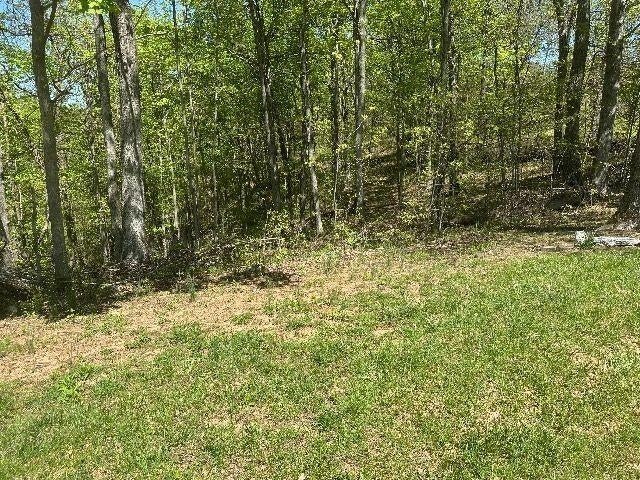 8123 Fairview Ridge Road, Unit 911 ADDRESS 35 ALLTEL Lesage, WV 25537 - Photo 19 of 25 Gallery Image 19