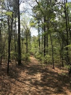 0 Upper Pond Road Wagener, SC 29164 - Photo 6 of 6