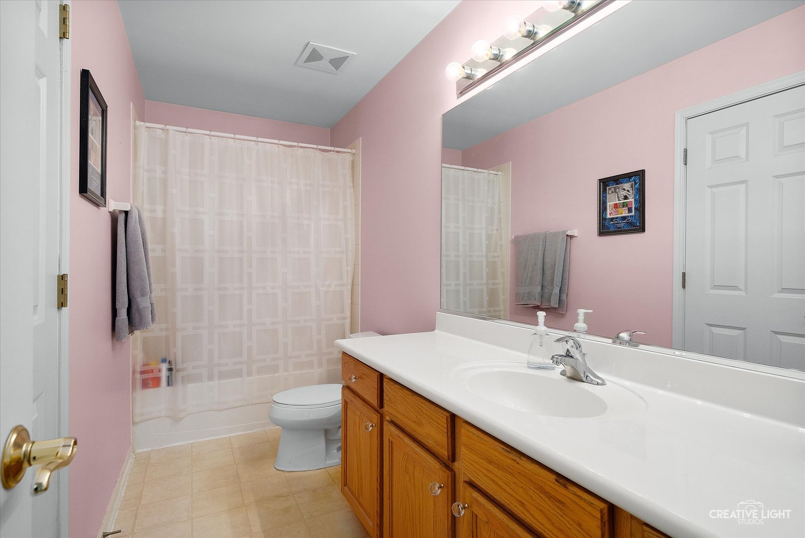 S970 Newton Square Geneva, IL 60134 - Photo 12 of 35 a bathroom with a sink a toilet and shower