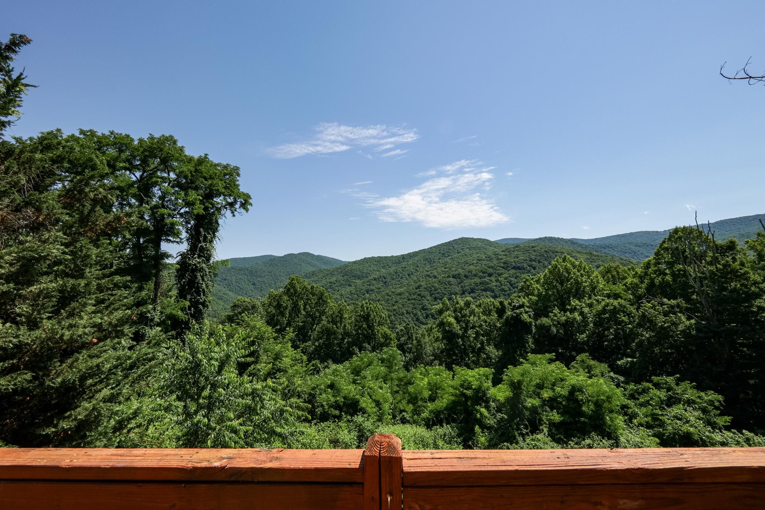 1093 Overlook Mountain Road Elkton, VA 22827 - Photo 6 of 63