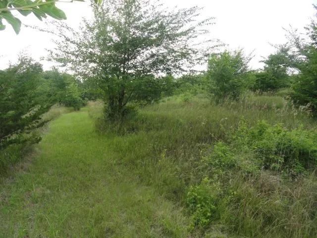 $134,500 | 5.21-acres Ringhand Road, Monticello, WI 53570