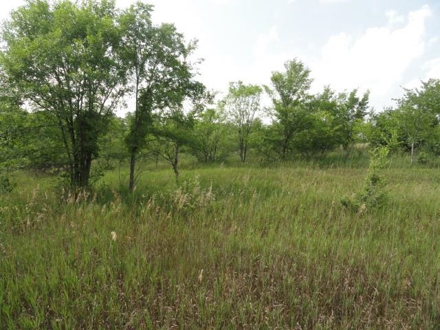 5.21-acres Ringhand Road Monticello, WI 53570 - Photo 24 of 79