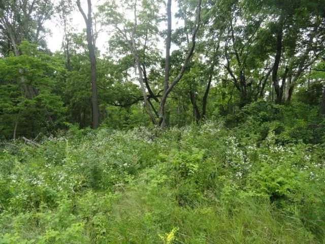 $134,500 | 5.21-acres Ringhand Road, Monticello, WI 53570