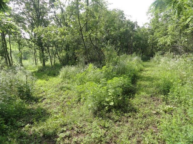 5.21-acres Ringhand Road Monticello, WI 53570 - Photo 33 of 79