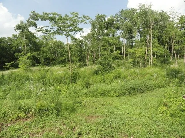 $134,500 | 5.21-acres Ringhand Road, Monticello, WI 53570