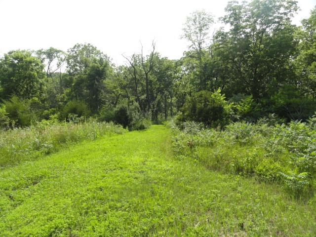 5.21-acres Ringhand Road Monticello, WI 53570 - Photo 40 of 79