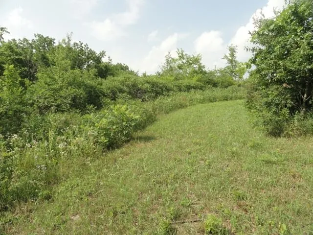 $134,500 | 5.21-acres Ringhand Road, Monticello, WI 53570