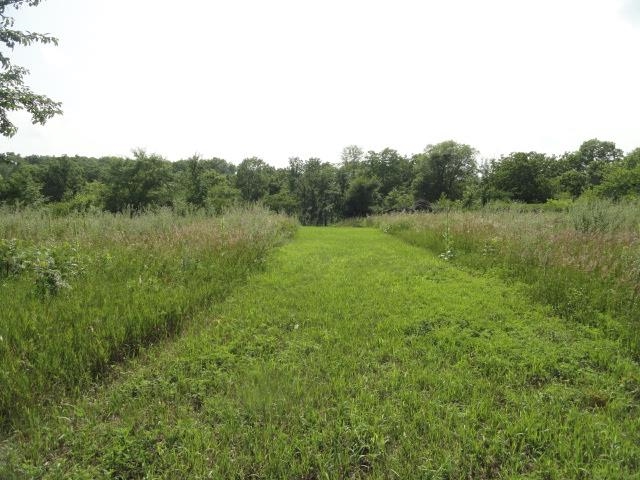 5.21-acres Ringhand Road Monticello, WI 53570 - Photo 43 of 79