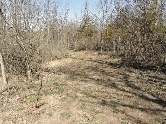 $134,500 | 5.21-acres Ringhand Road, Monticello, WI 53570