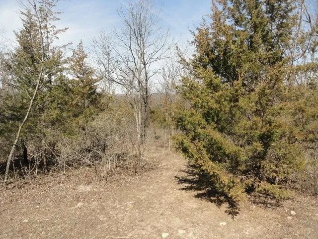 $134,500 | 5.21-acres Ringhand Road, Monticello, WI 53570