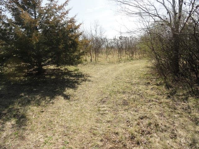 5.21-acres Ringhand Road Monticello, WI 53570 - Photo 76 of 79