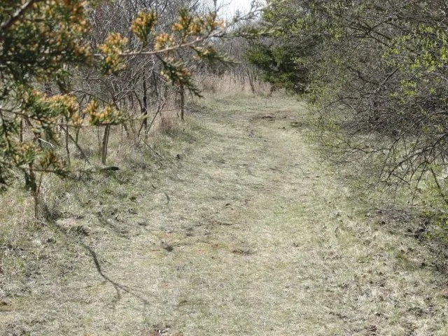 $134,500 | 5.21-acres Ringhand Road, Monticello, WI 53570