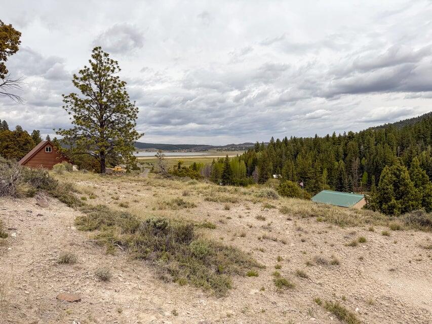 69 Forest Garden Hatch, UT 84735 - Photo 6 of 20 Lot 69 Forest Garden