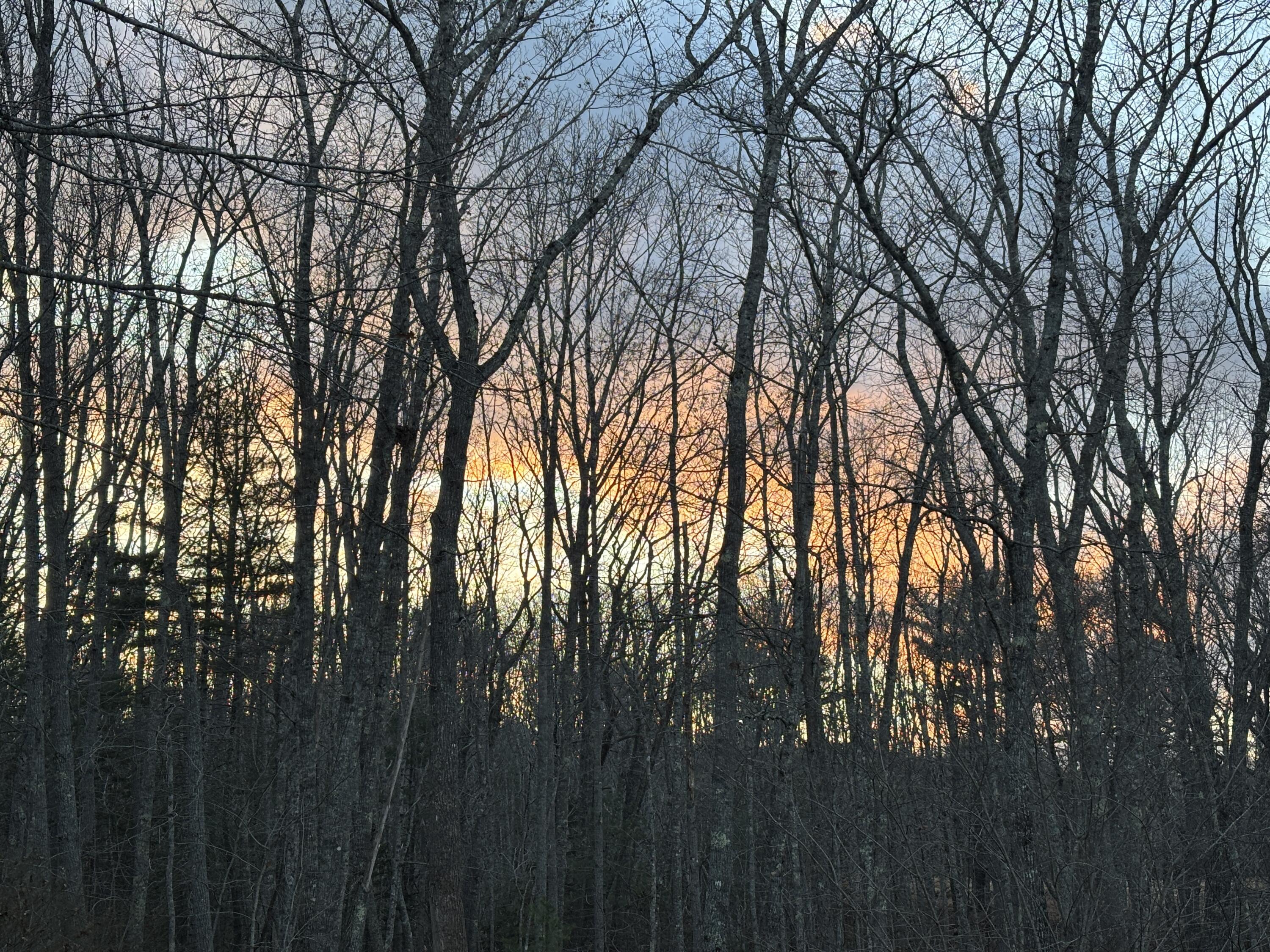5 Morrison Road Round Pond, ME 04564 - Photo 38 of 46 Sunset