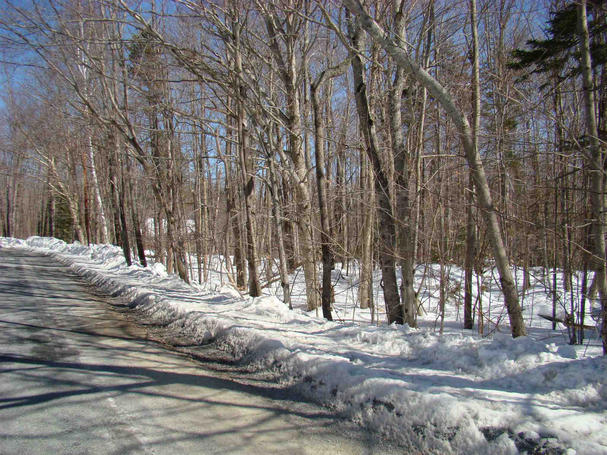 0 Shippee Road Readsboro, VT 05350 - Photo 1 of 13