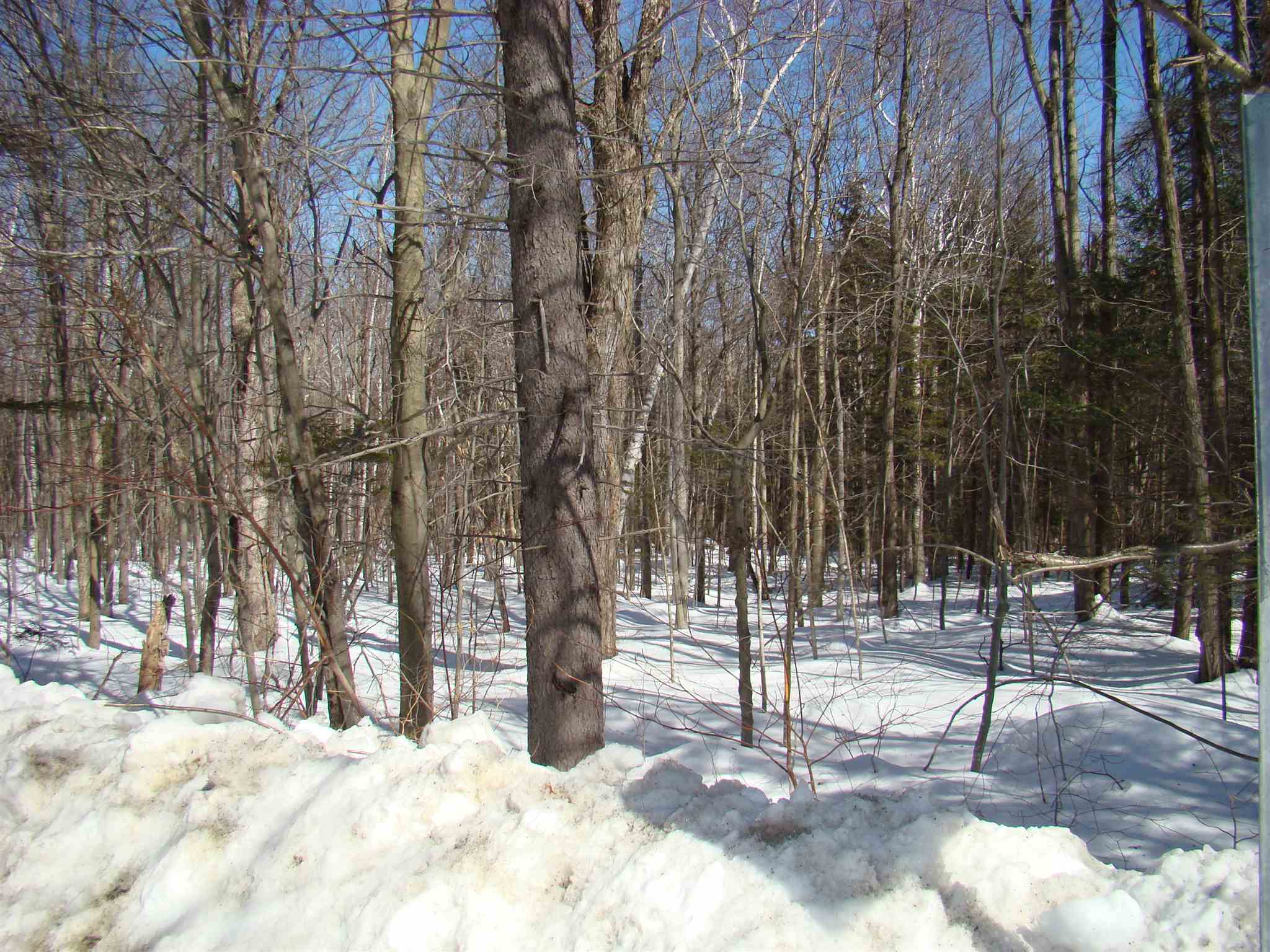 0 Shippee Road Readsboro, VT 05350 - Photo 2 of 13