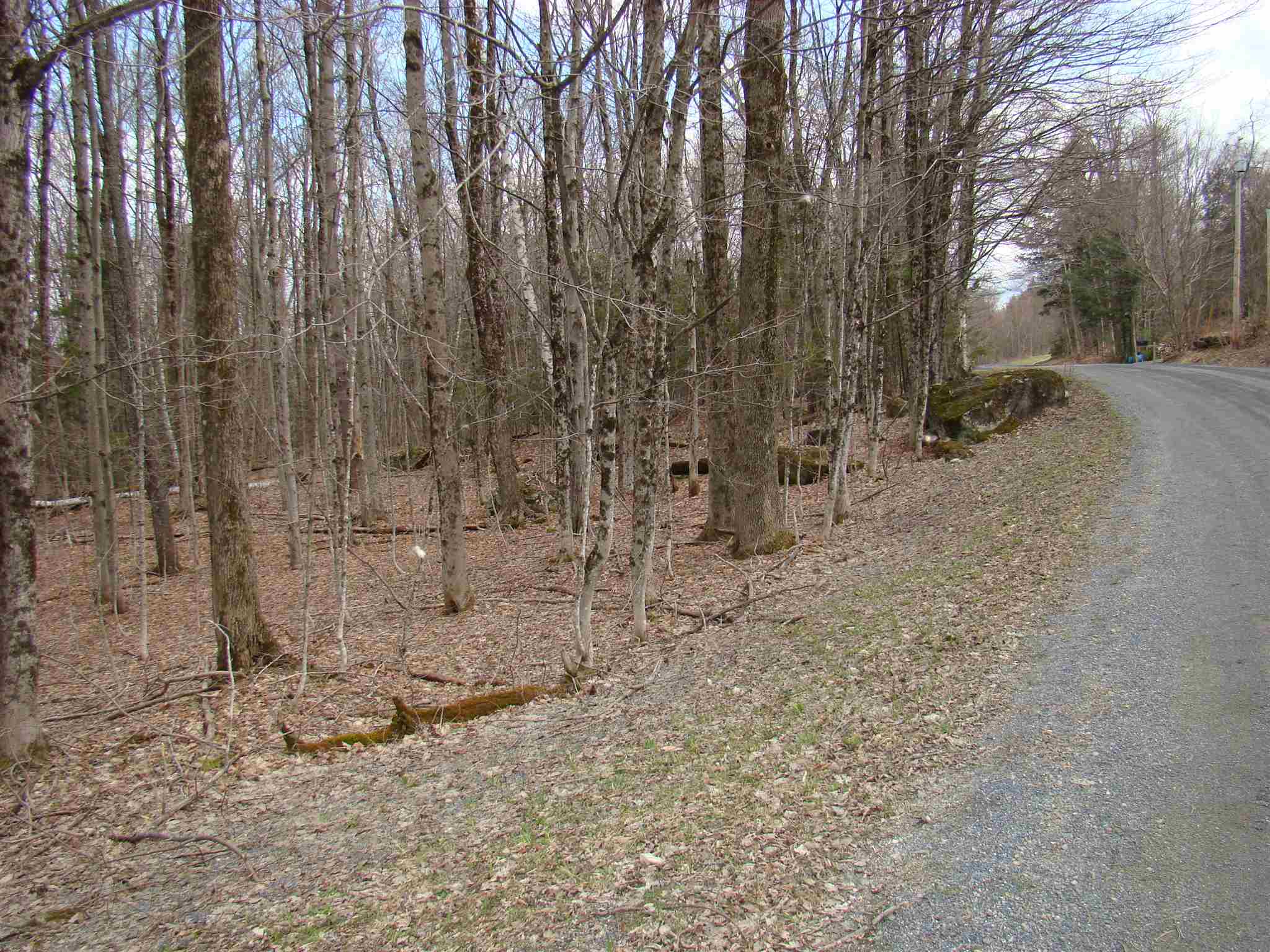 0 Shippee Road Readsboro, VT 05350 - Photo 12 of 13