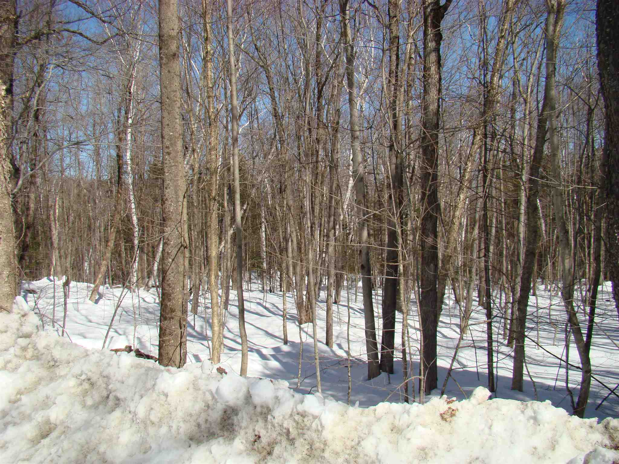 0 Shippee Road Readsboro, VT 05350 - Photo 3 of 13