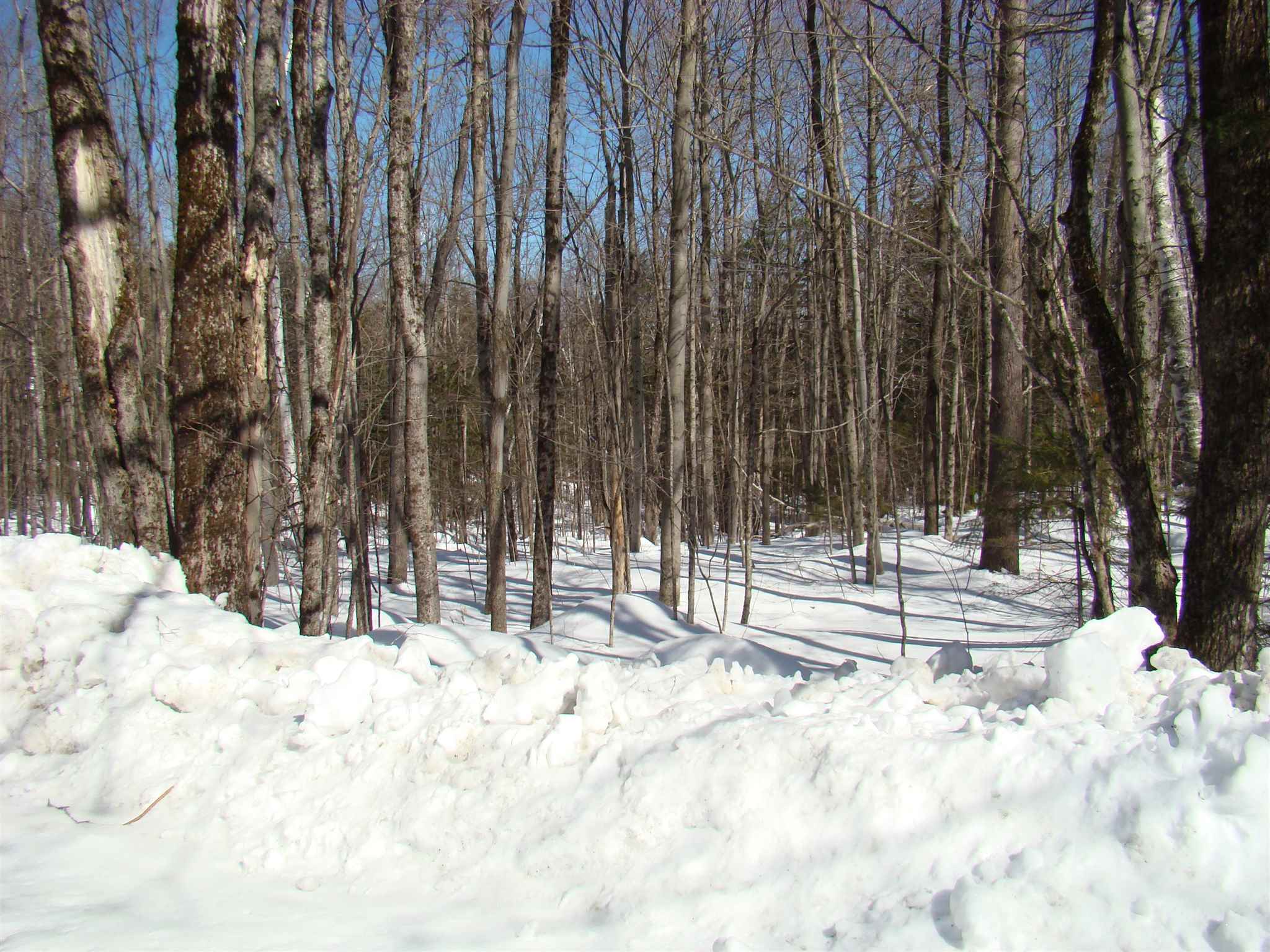 0 Shippee Road Readsboro, VT 05350 - Photo 4 of 13