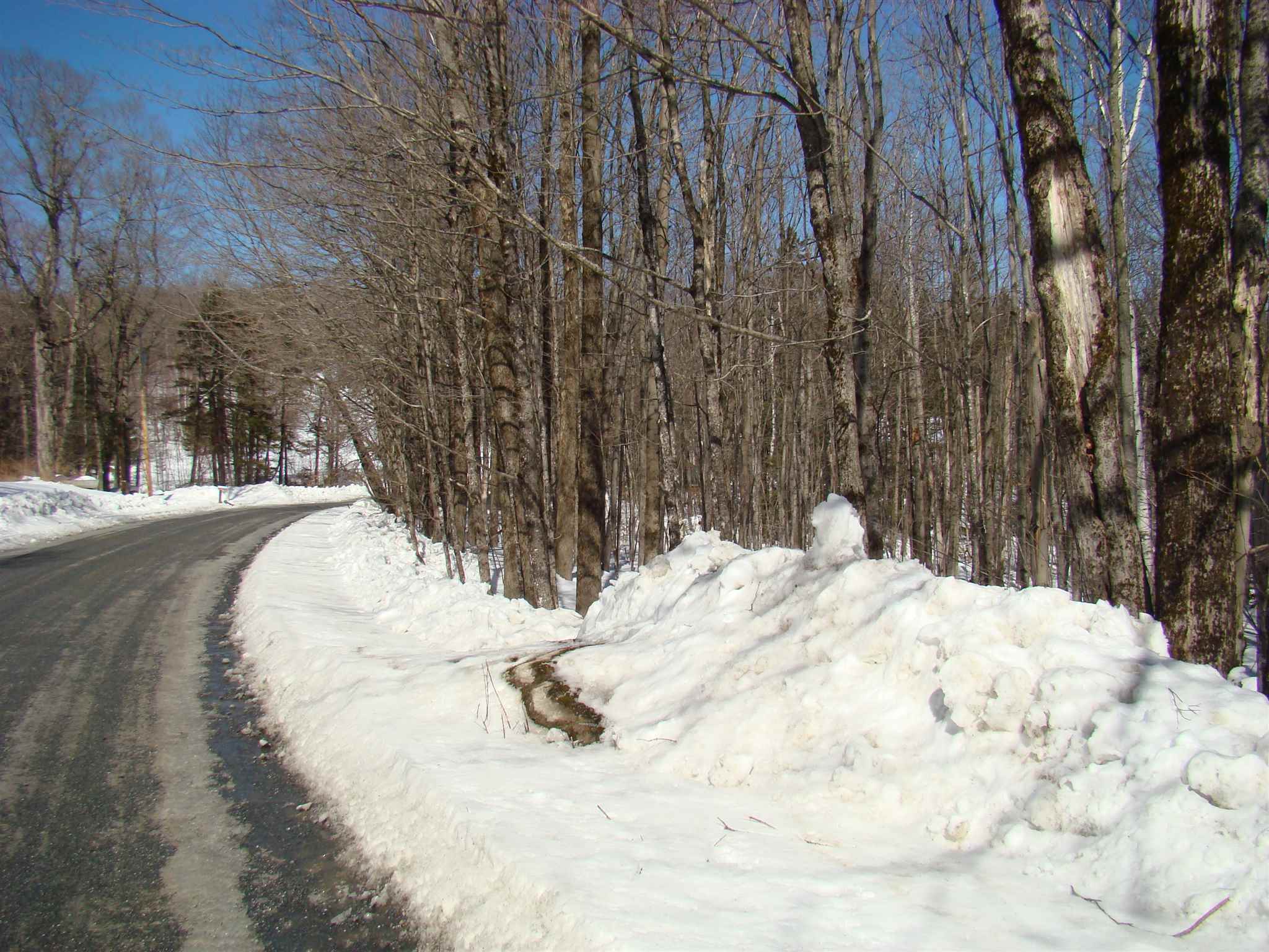0 Shippee Road Readsboro, VT 05350 - Photo 5 of 13