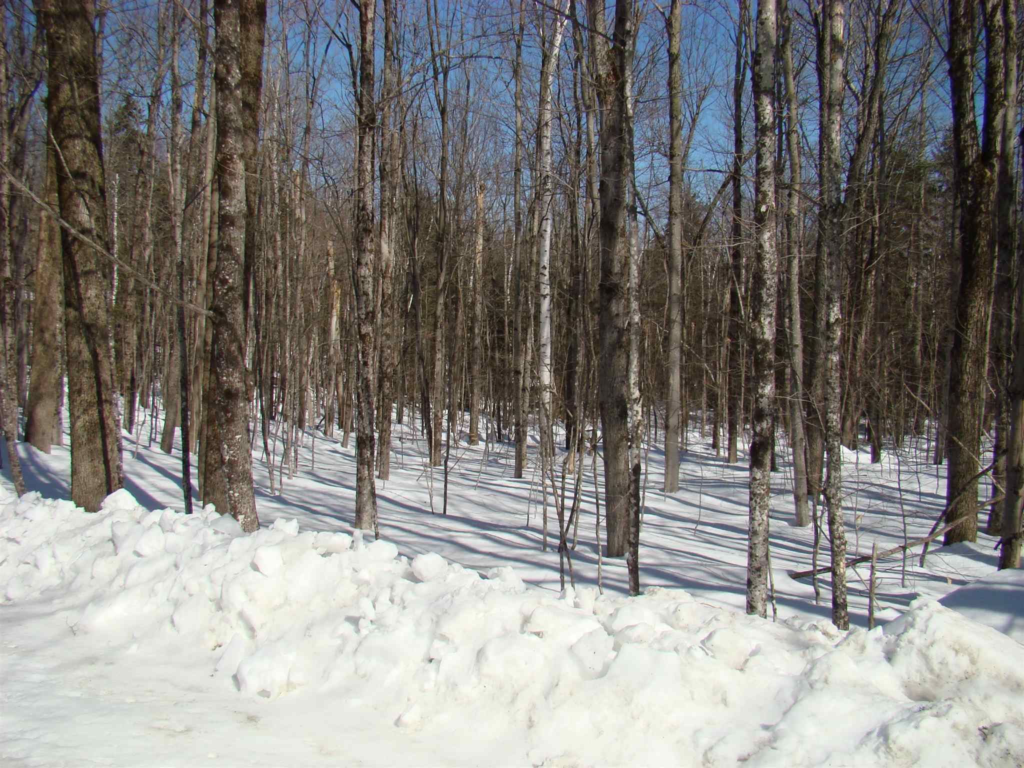 0 Shippee Road Readsboro, VT 05350 - Photo 6 of 13