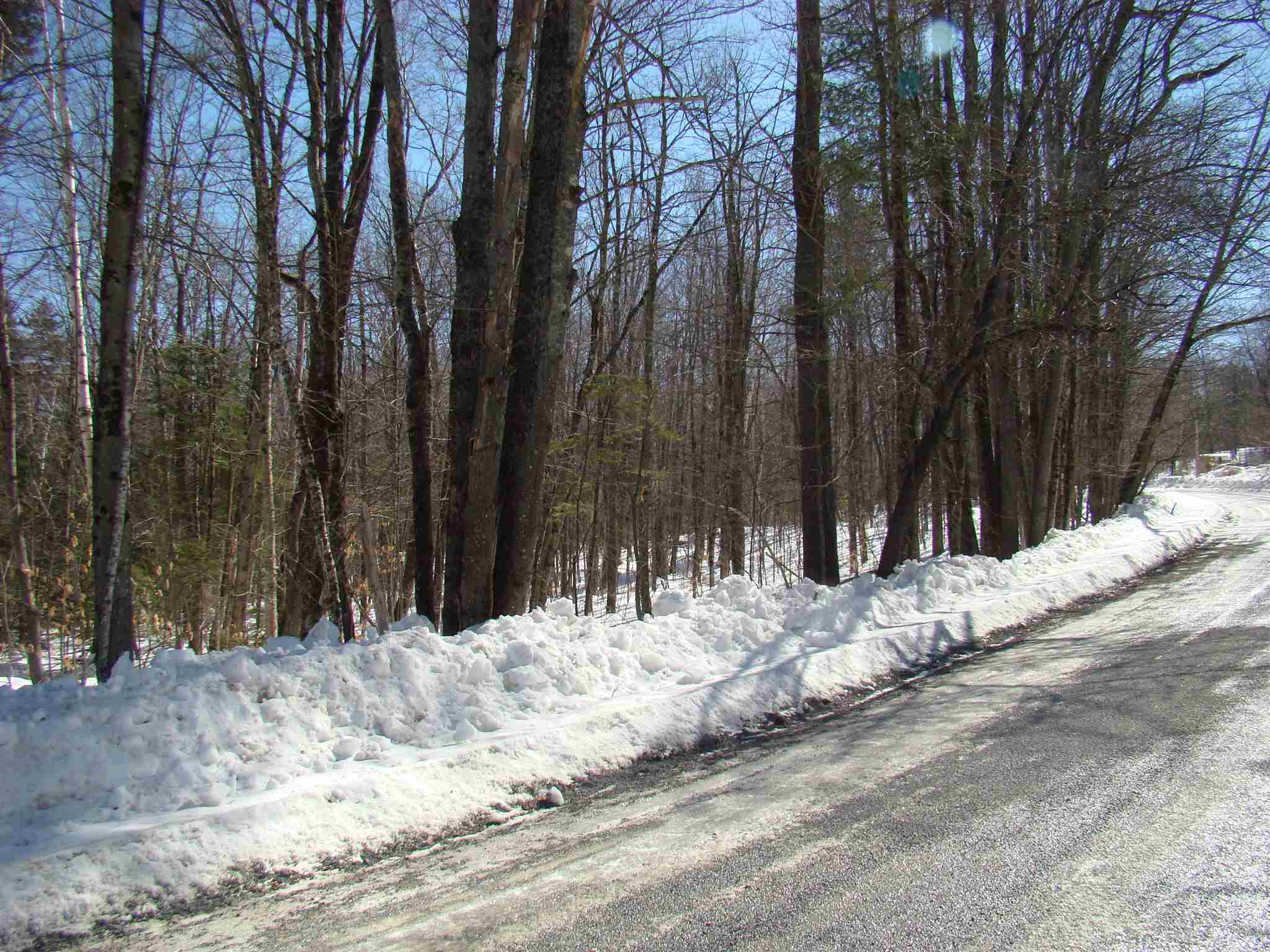 0 Shippee Road Readsboro, VT 05350 - Photo 8 of 13