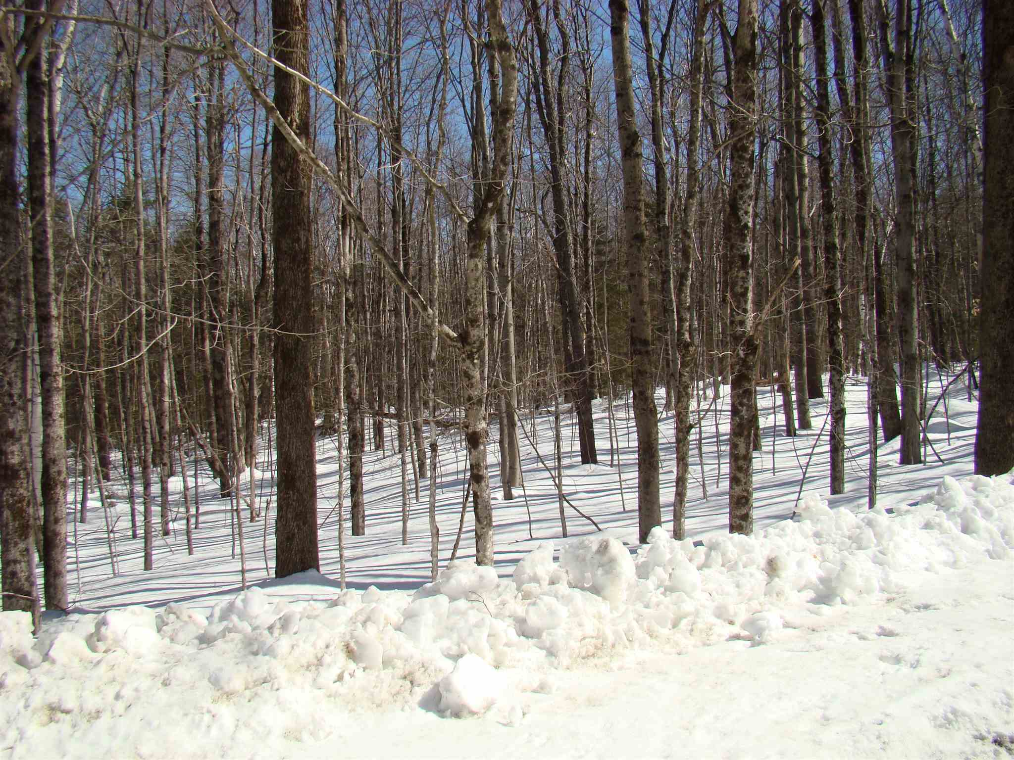 0 Shippee Road Readsboro, VT 05350 - Photo 10 of 13
