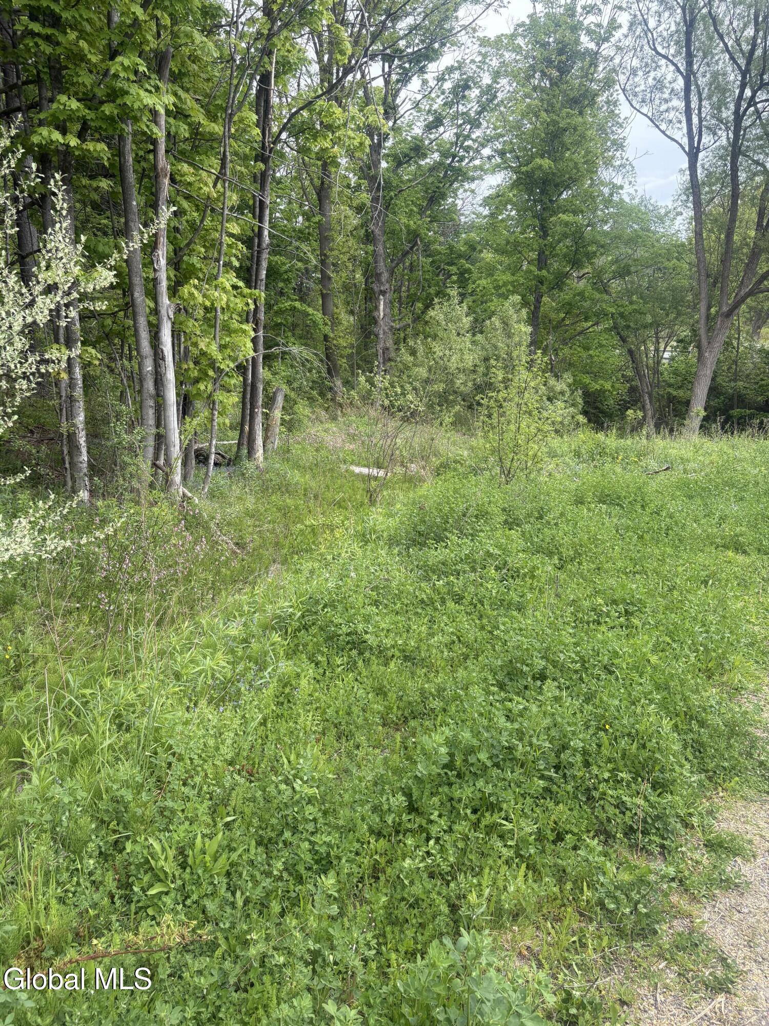 1 Mariaville Road Pattersonville, NY 12137 - Photo 19 of 25 IMG_3953