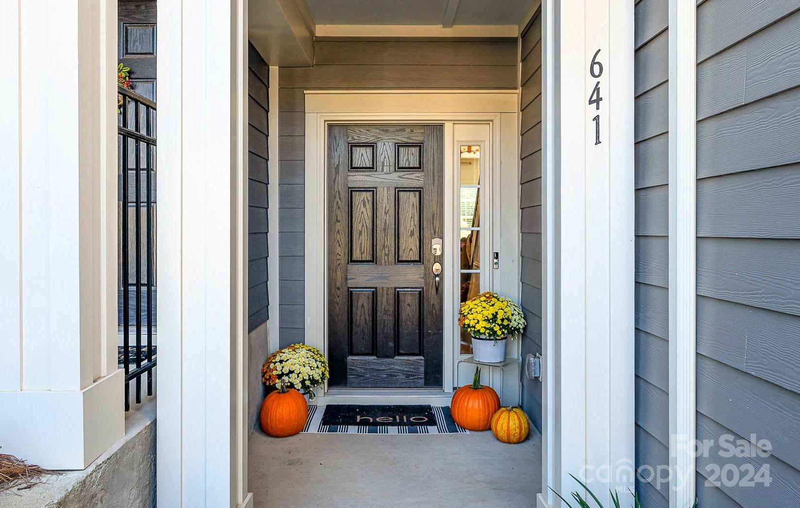 641 Amber Meadows Way Tega Cay, SC 29708 - Photo 3 of 28