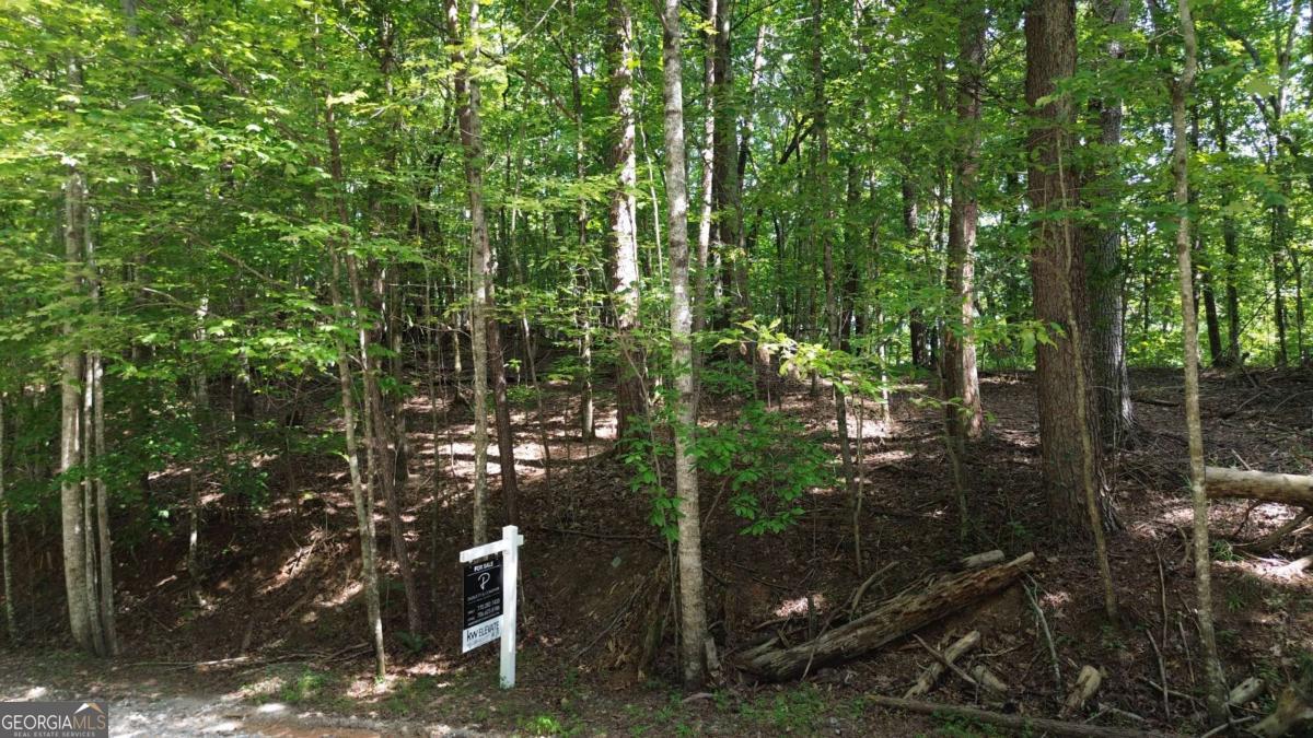 0 Bearden Road Dahlonega, GA 30533 - Photo 1 of 1 Gallery Image 1