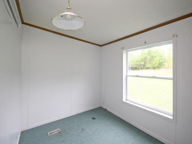46304 Cr 352 Street Decatur, MI 49045 - Photo 11 of 16 263-442431-bedroom q