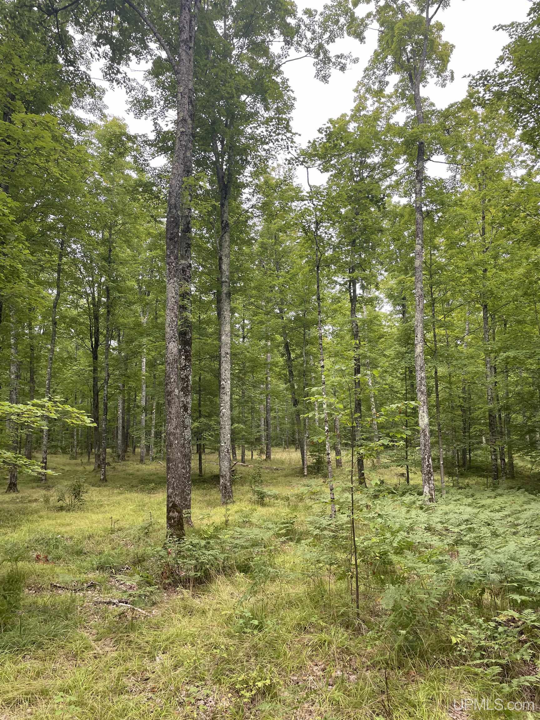 Tbd Tbd County Road, Unit 1 Cornell, MI 49818 - Photo 26 of 41